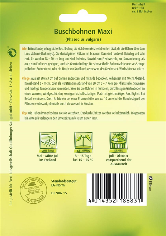 Buschbohnensamen 'Maxi'