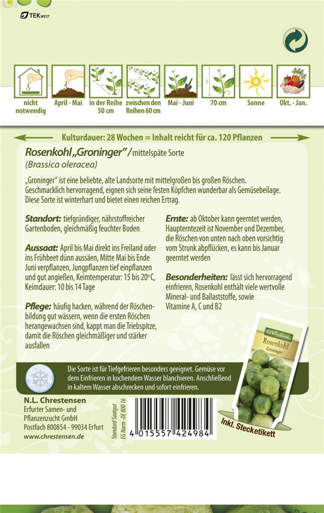 Rosenkohlsamen 'Groninger'