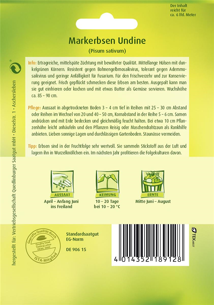 Markerbsensamen 'Undine'