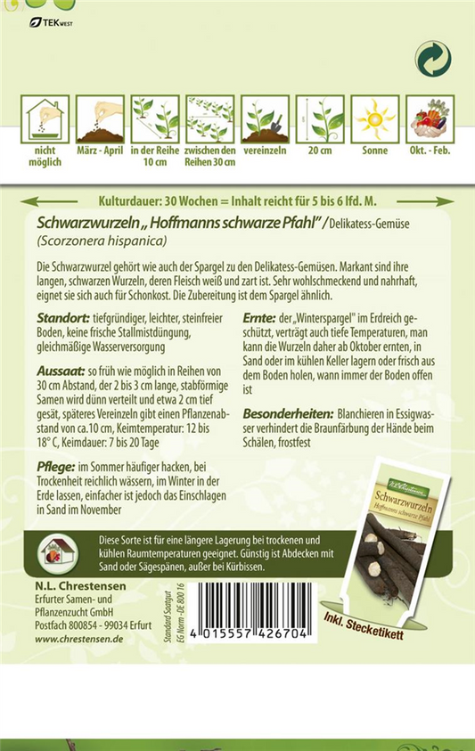 Schwarzwurzelsamen 'Hoffmanns schwarze Pfahl'