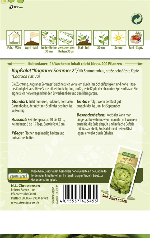 Kopfsalatsamen 'Kagraner Sommer 2'