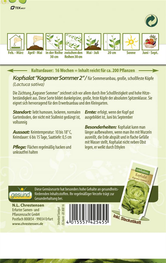 Kopfsalatsamen 'Kagraner Sommer 2'