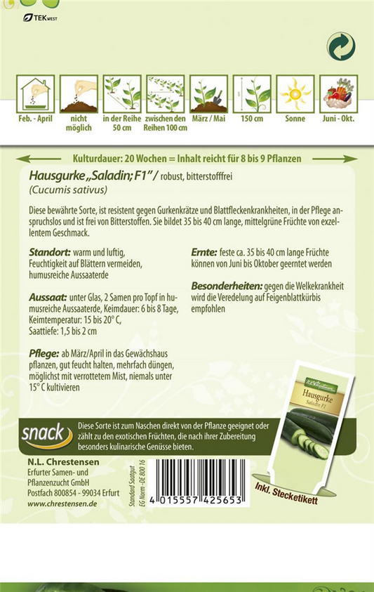 Gurkensamen 'Saladin'