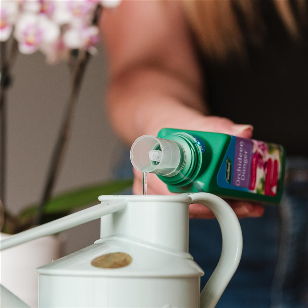 Westland Orchideen Dünger 200 ml