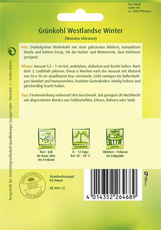 Grünkohlsamen 'Westerländer Winter'