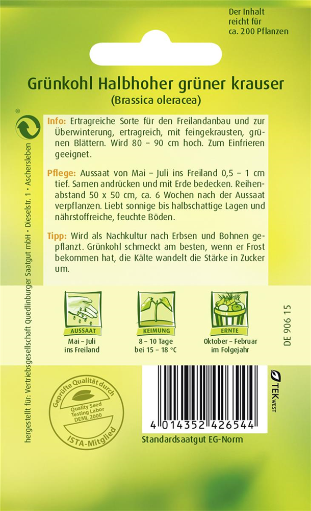 Grünkohlsamen 'Halbhoher Grüner Krauser'