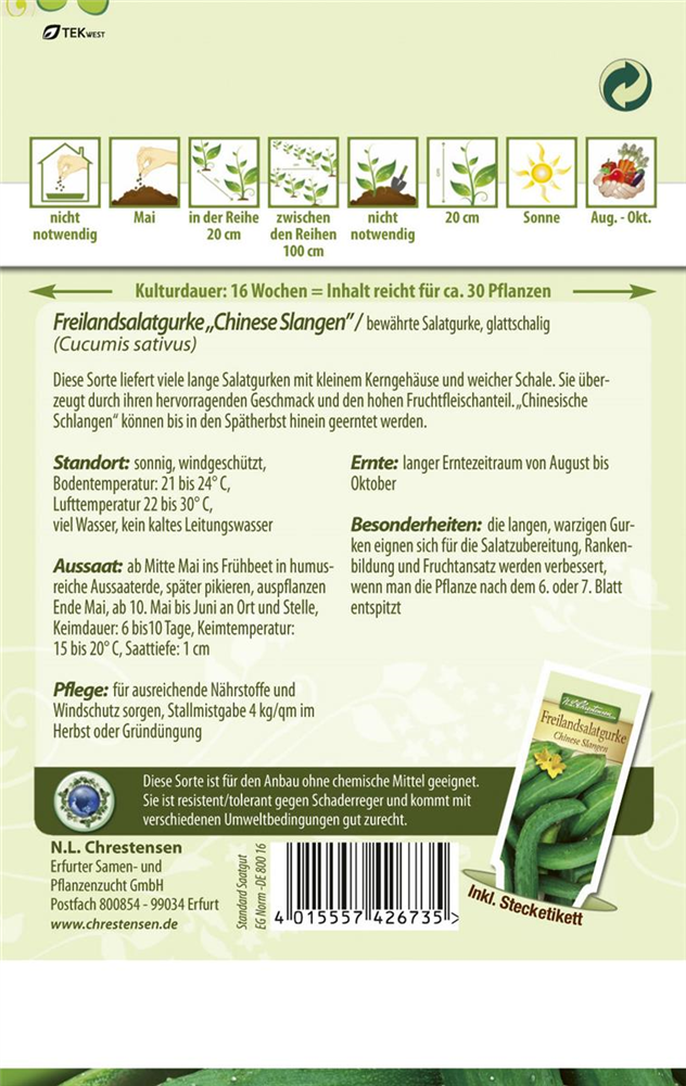 Gurkensamen 'Chinese Slangen'