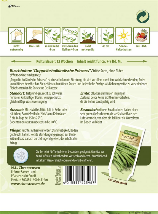 Buschbohnensamen 'Doppelte holländische Prinzess'