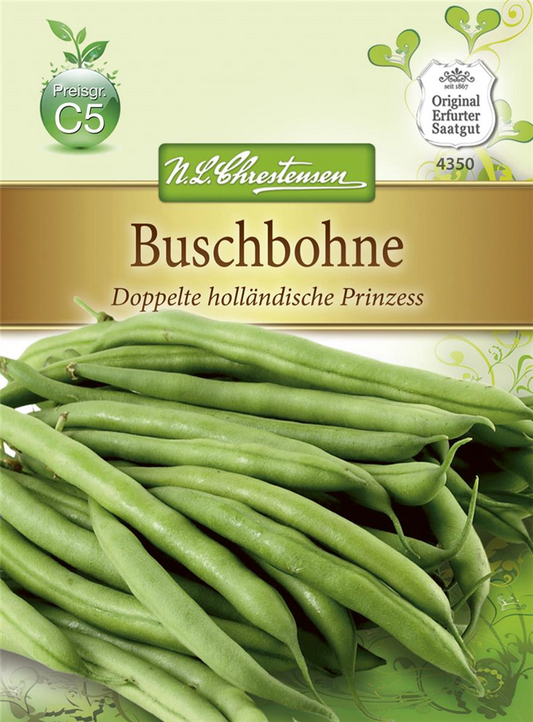 Buschbohnensamen 'Doppelte holländische Prinzess'