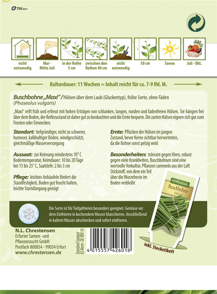 Buschbohnensamen 'Maxi'