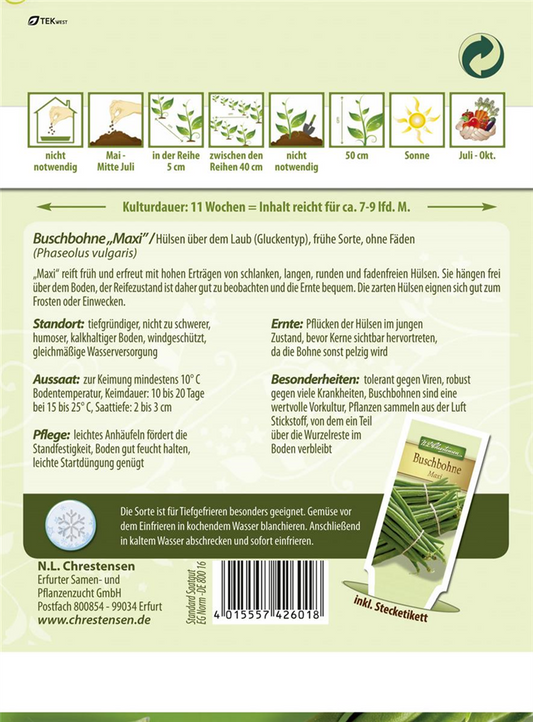 Buschbohnensamen 'Maxi'