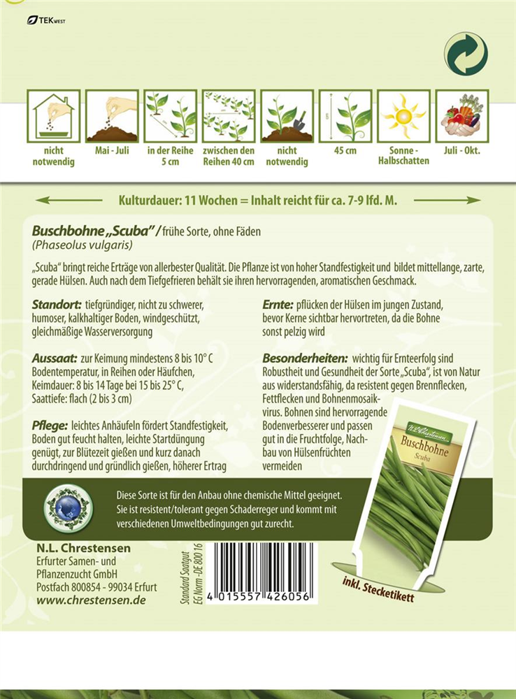 Buschbohnensamen 'Scuba'