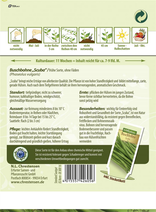 Buschbohnensamen 'Scuba'