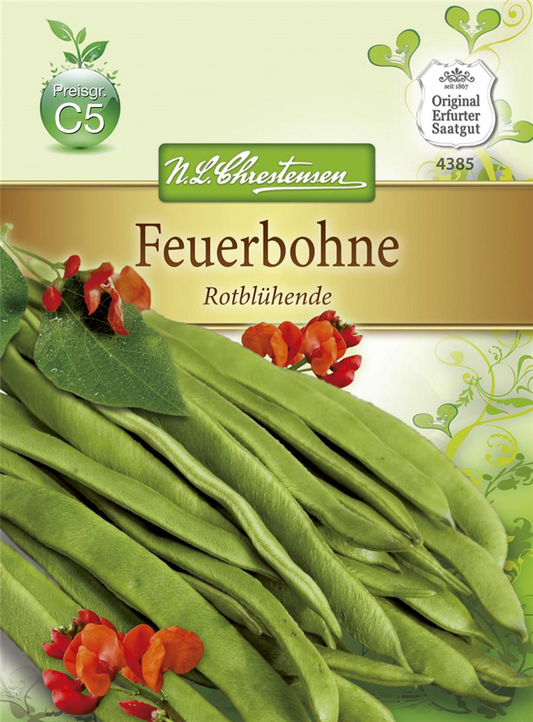 Prunkbohnensamen 'Rotblühende'