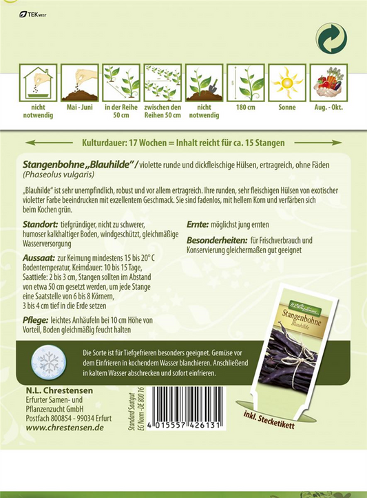 Stangenbohnensamen 'Blauhilde'