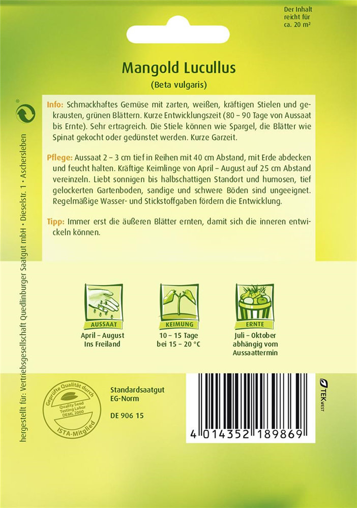 Blatt-Mangoldsamen 'Lucullus'