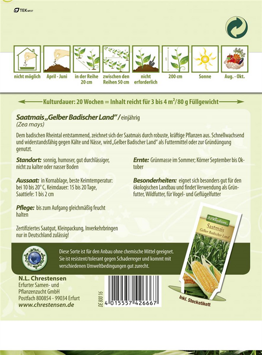 Saatmaissamen 'Gelber Badischer Land'