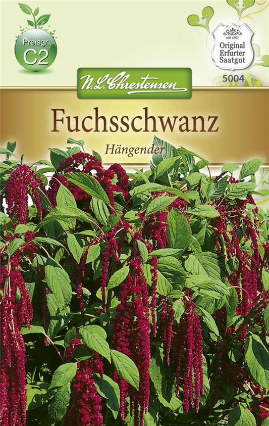Garten-Fuchsschwanz-Samen