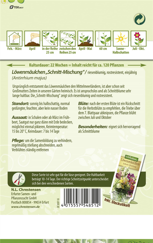 Garten-Löwenmaul-Samen