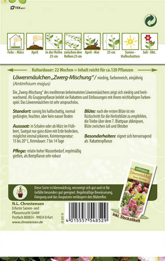 Zwerg-Löwenmaul-Samen