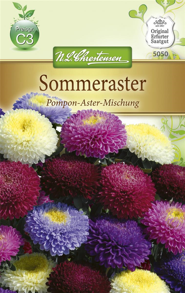 Gartenastersamen 'Pompon'
