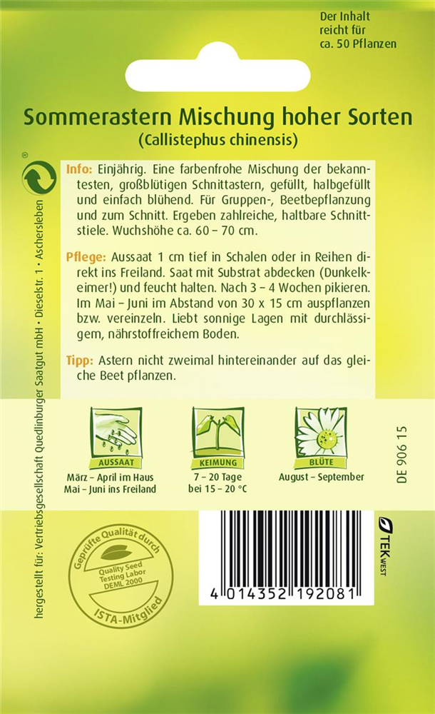 Sommerastersamen 'Hohe Sorten'