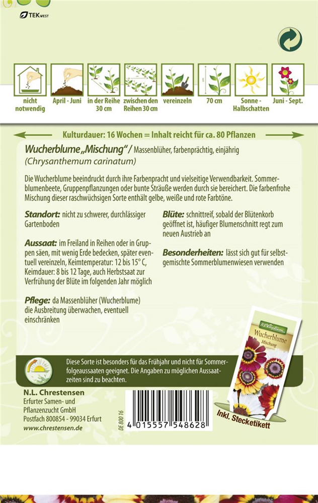 Wucherblumensamen