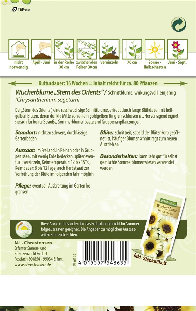 Wucherblumensamen 'Stern des Orients'