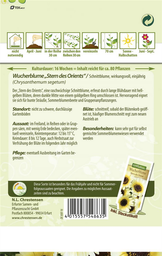 Wucherblumensamen 'Stern des Orients'