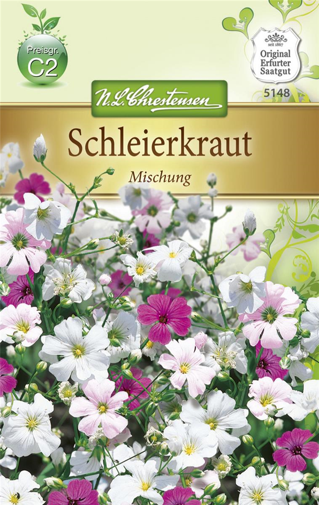 Sommer-Schleierkraut-Samen