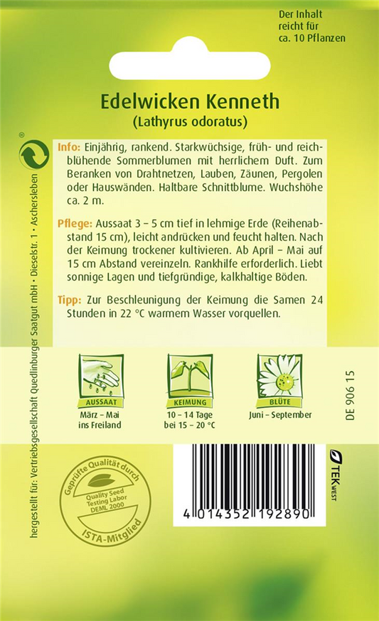 Gartenwickensamen 'Kenneth'