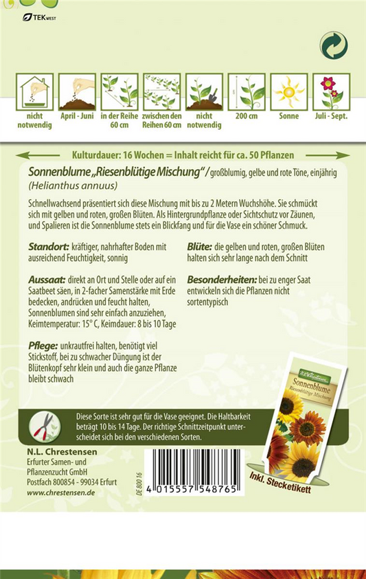 Sonnenblumensamen 'Riesenblumige'