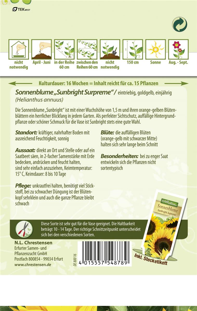 Sonnenblumensamen 'Sunbright'