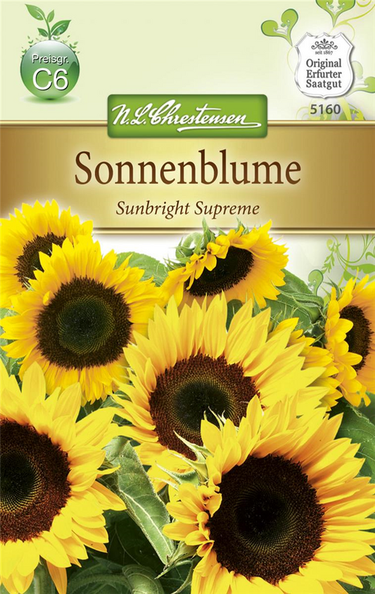 Sonnenblumensamen 'Sunbright'