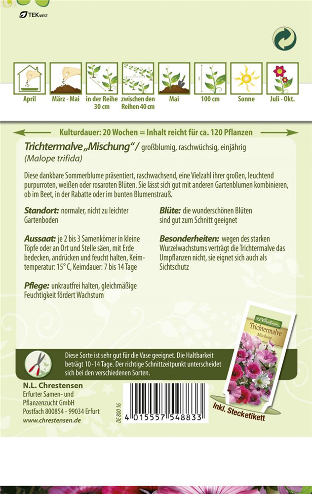 Trichtermalvensamen