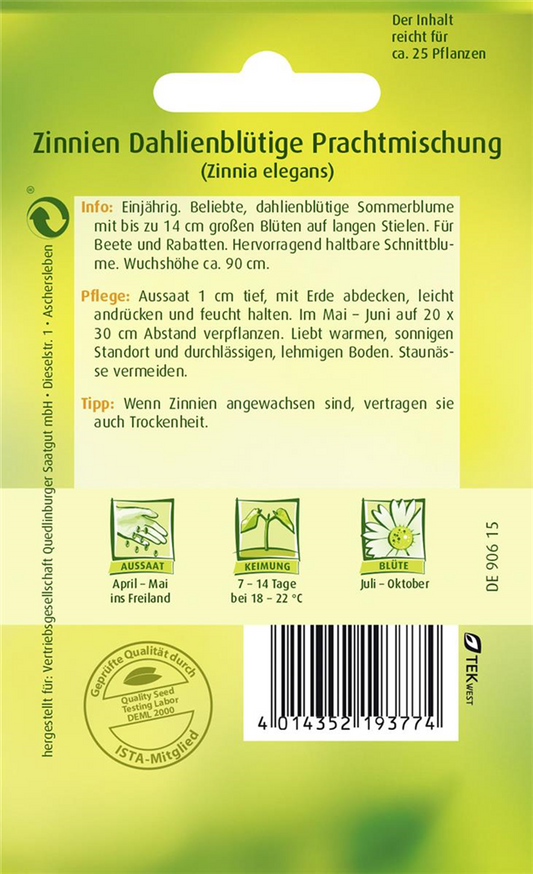 Dahlienblütige Zinnie-Samen