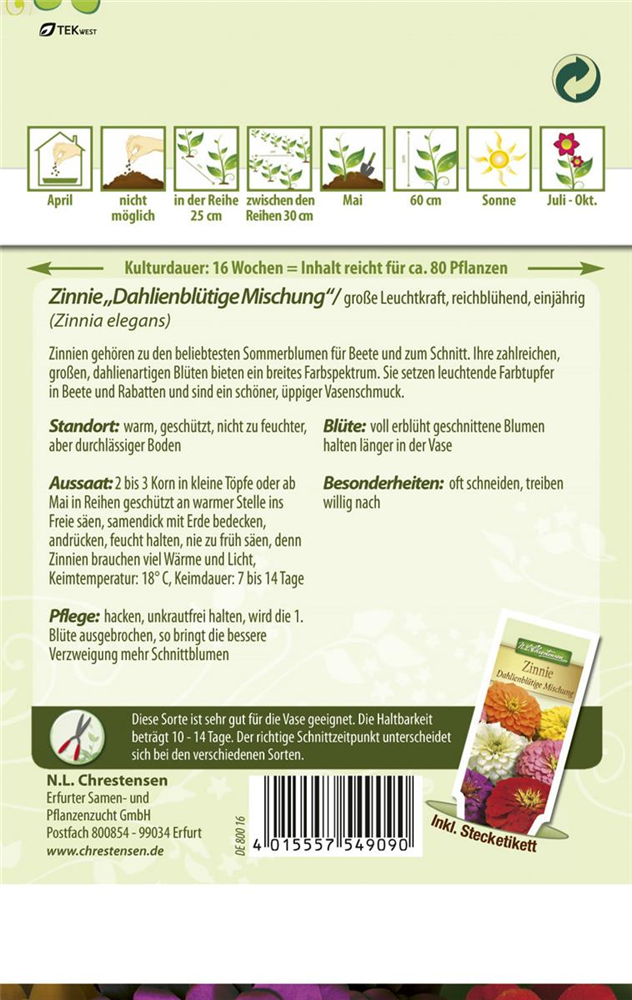 Dahlienblütige Zinnie-Samen