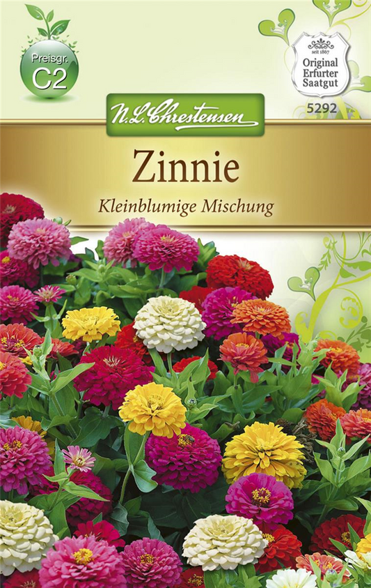 Kleinblütige Zinnie-Samen
