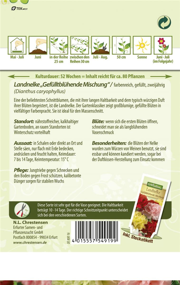 Gefüllte Gartennelkensamen