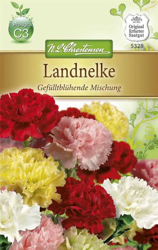 Gefüllte Gartennelkensamen