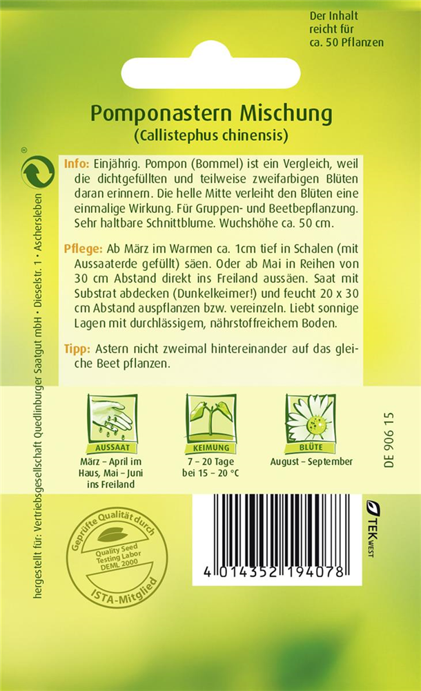 Gartenastersamen 'Pompon'