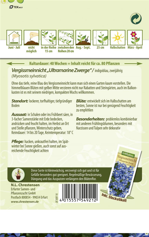Vergissmeinnichtsamen 'Ultramarine Zwerg'