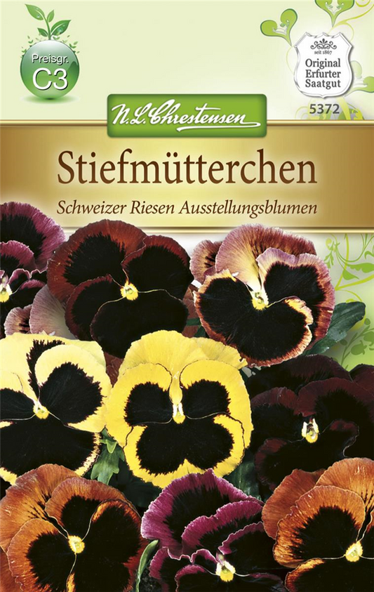 Stiefmütterchensamen 'Schweizer Riesen Ausstellungsblume'