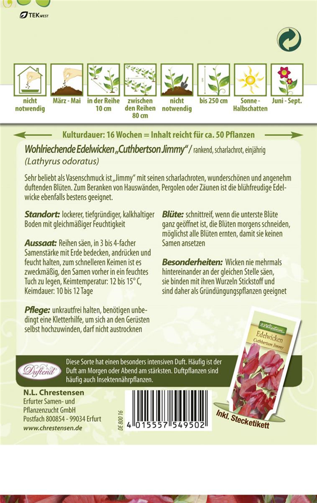 Duftwickensamen 'Cuthbertson Jimmy'