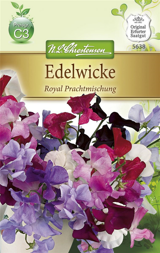 Riesen-Edelwickensamen