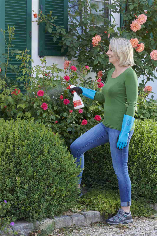 Birchmeier Handsprühgerät 'Foxy Plus' 0,5 l