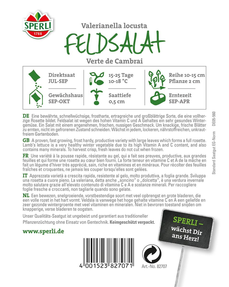 Feldsalat 'Verte de Cambrai'