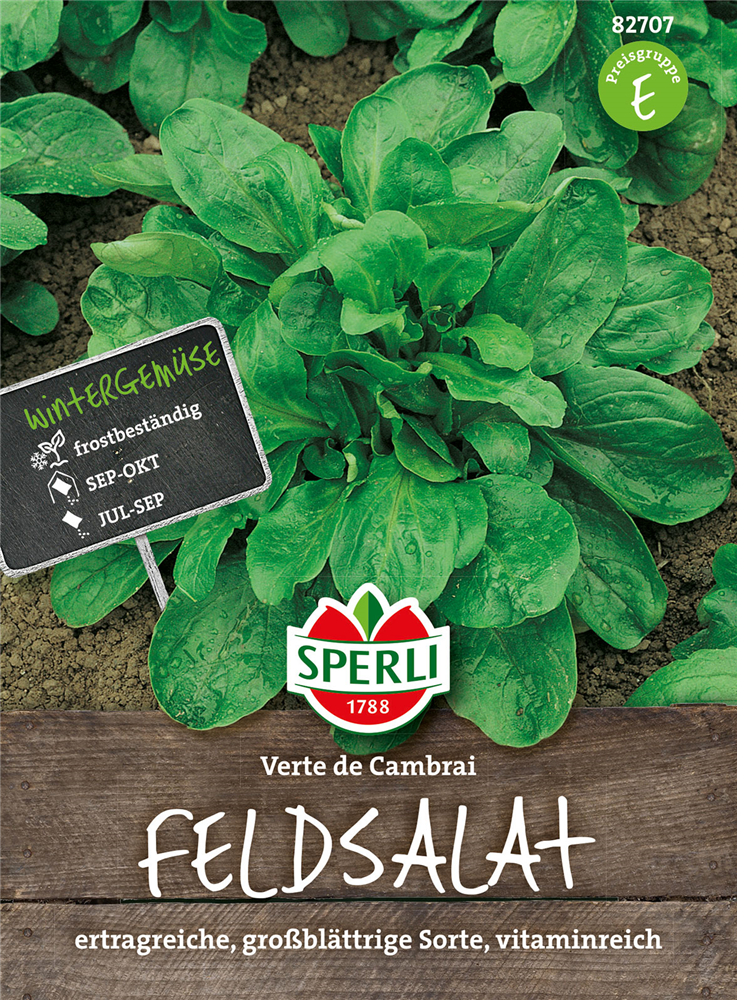 Feldsalat 'Verte de Cambrai'