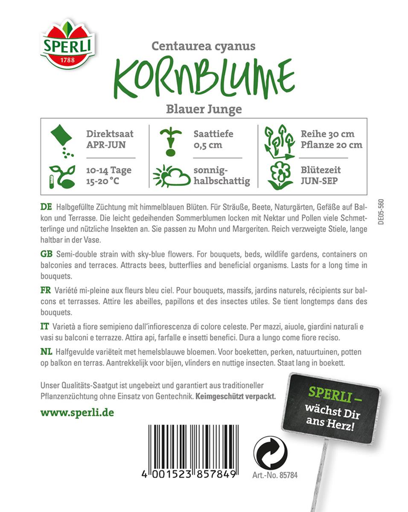 Kornblume 'Blauer Junge'