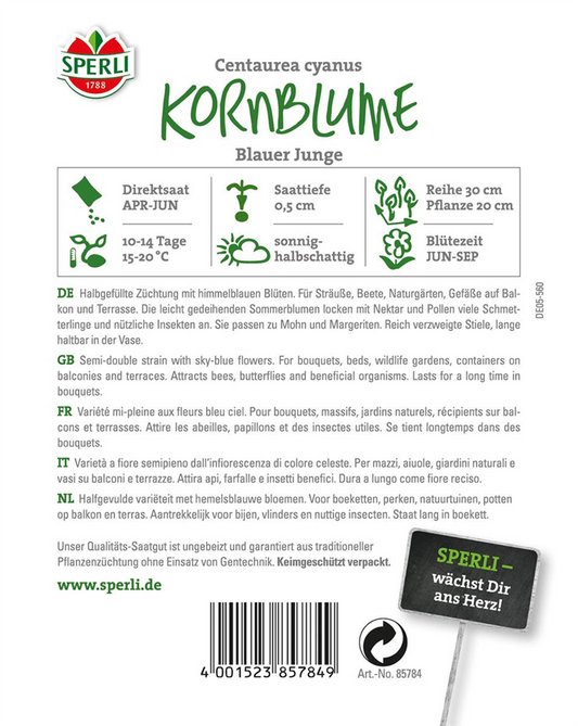 Kornblume 'Blauer Junge'